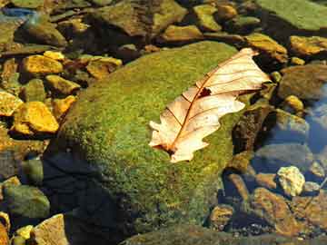 時(shí)評(píng)聚焦，新挖掘機(jī)價(jià)格概覽及領(lǐng)域地位深度探究——附圖片大全
